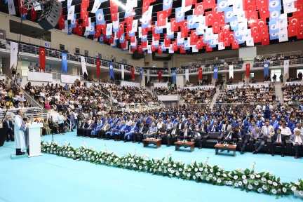 PAU 8093